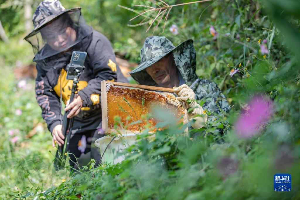 bg唯一官网登录